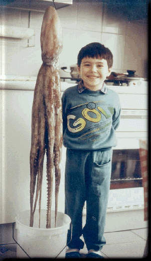  SABAUDIA 1987 - polpo decisamente  ... pesante ! 