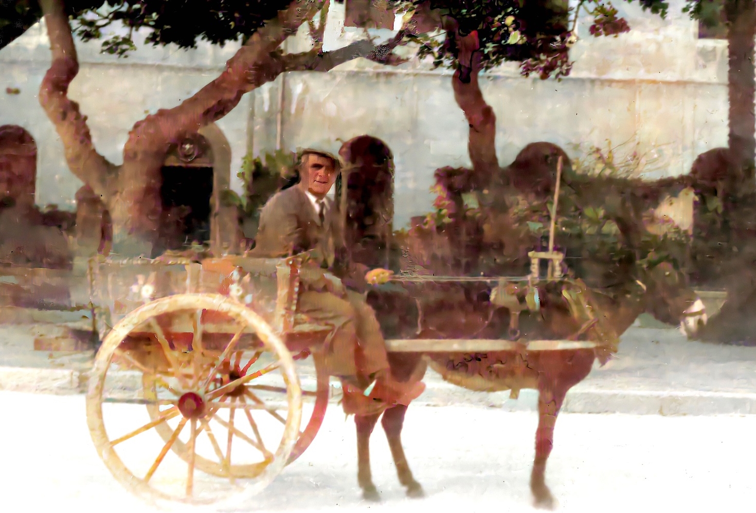 Schiavone Francesco