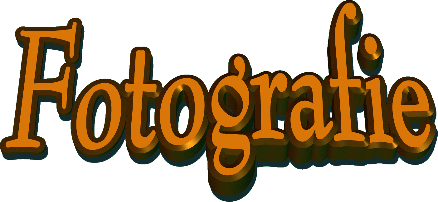 Fotografie - Articoli - Documenti 